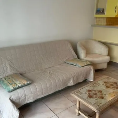 Appartement Studio With Balcony Quartier Croisette Cannes